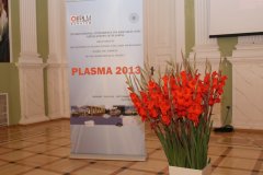 Plasma_2013 (48).JPG